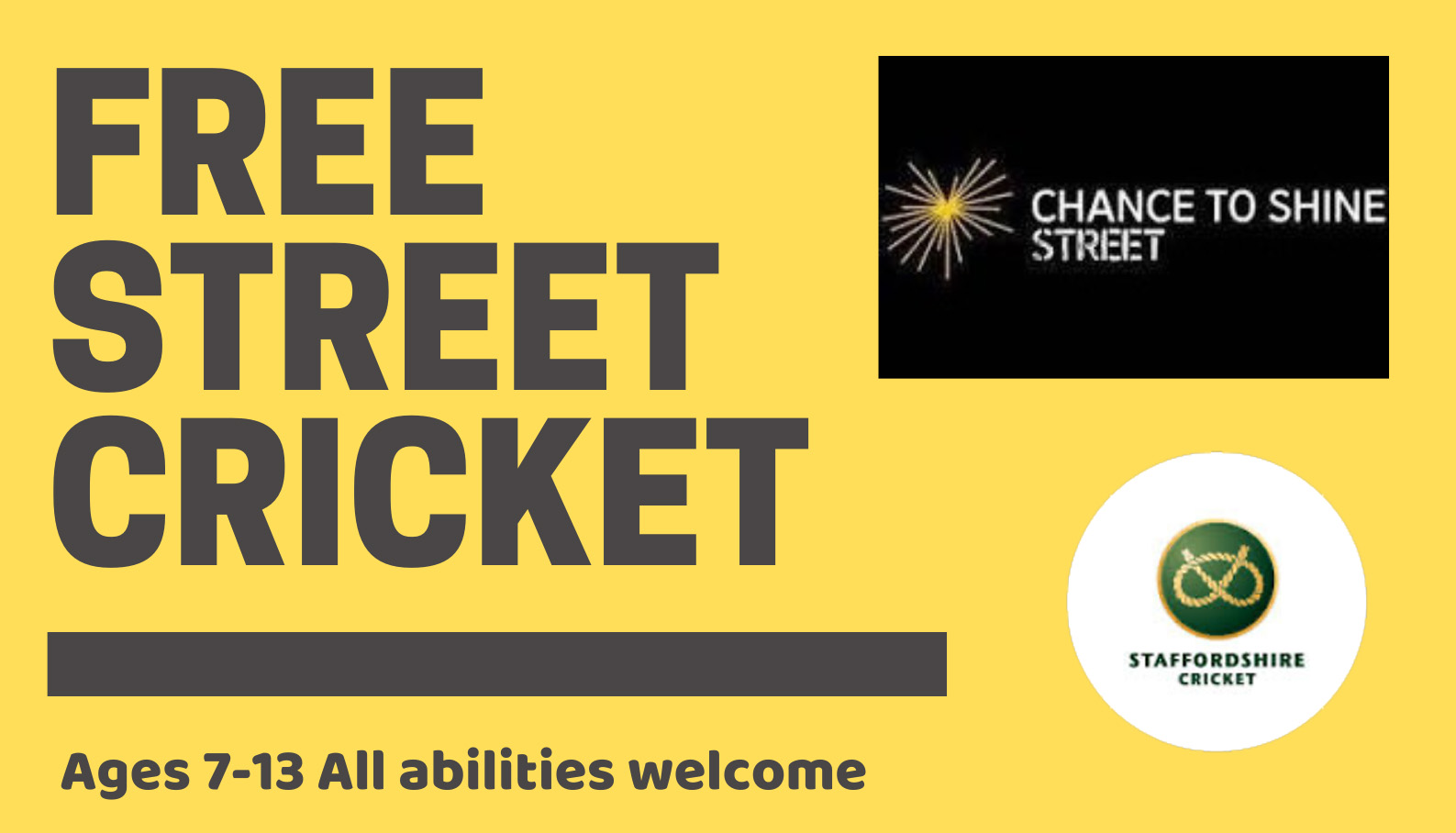 FREE STREET CRICKET